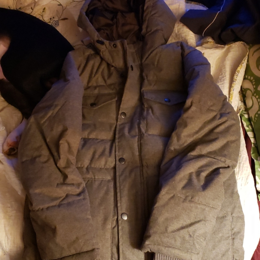 Coat